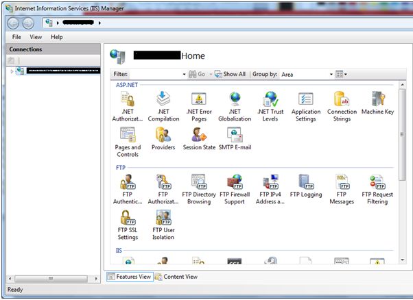 enabling the IIS Service